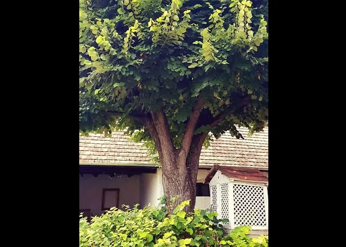 Case de vacanță Hars Meg Az Alja